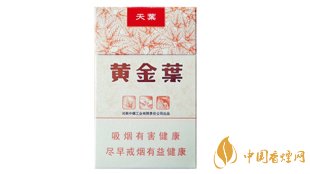 黃金葉天葉真?zhèn)卧趺幢鎰e？天葉真假如何看？
