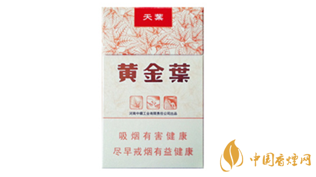 黃金葉天葉真假怎樣區(qū)分？黃金葉天葉真假識別