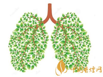 相比癌癥慢阻肺疾病離吸煙者更近！