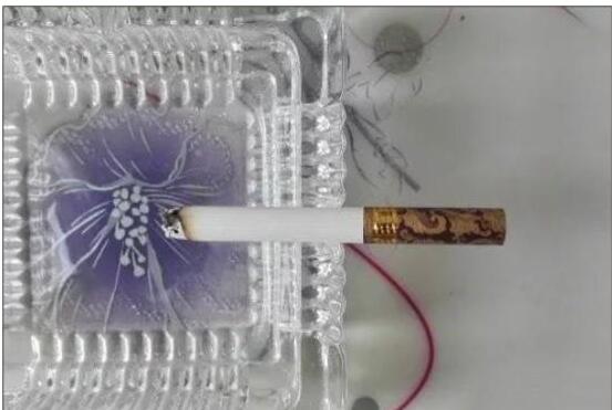 黃鶴樓漫天游，除了短貴沒別的毛病