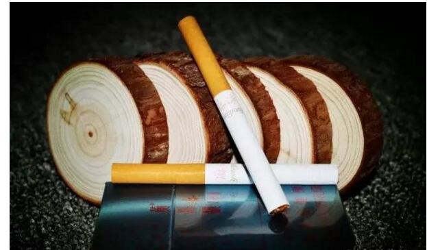 黃鶴樓游泳回歸，爺爺輩最喜愛的香煙品牌
