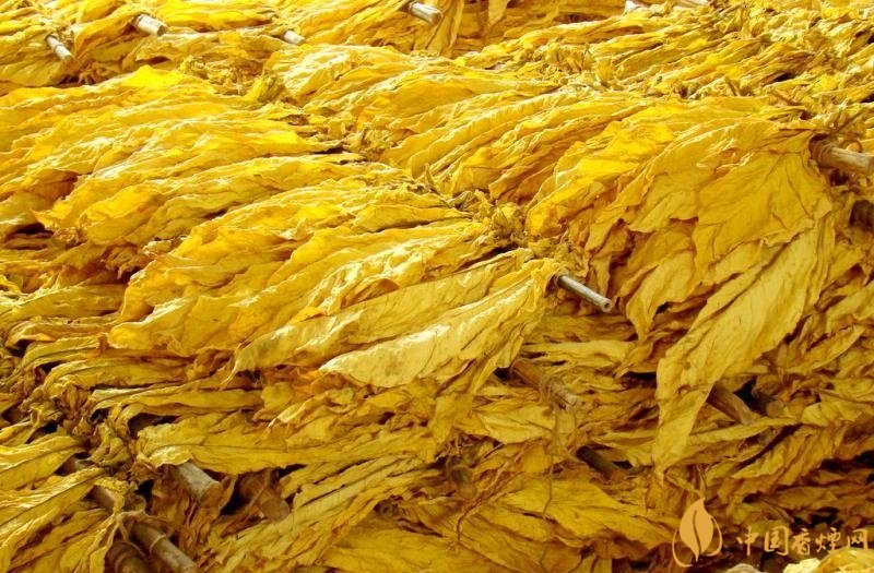 有機(jī)煙葉是什么，有機(jī)煙葉和普通煙葉的區(qū)別